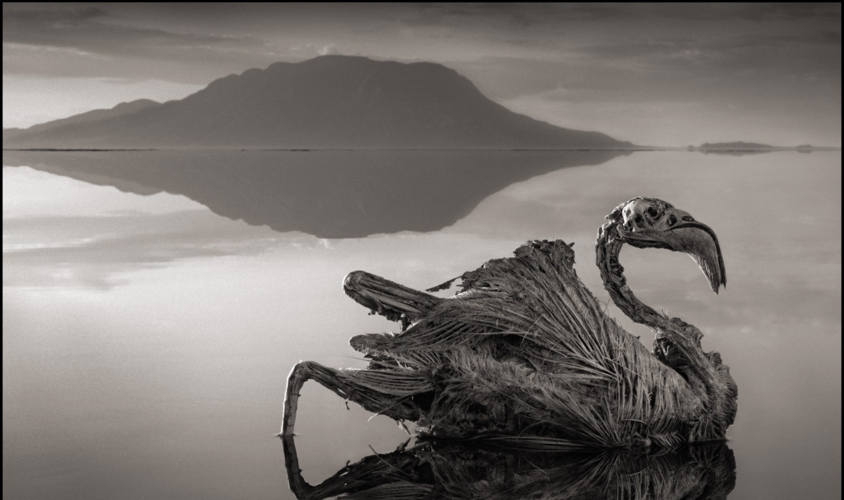 Η λίμνη του «θανάτου» – Ρουφάει της ζωή σε όποιον την πλησιάσει (φωτό)