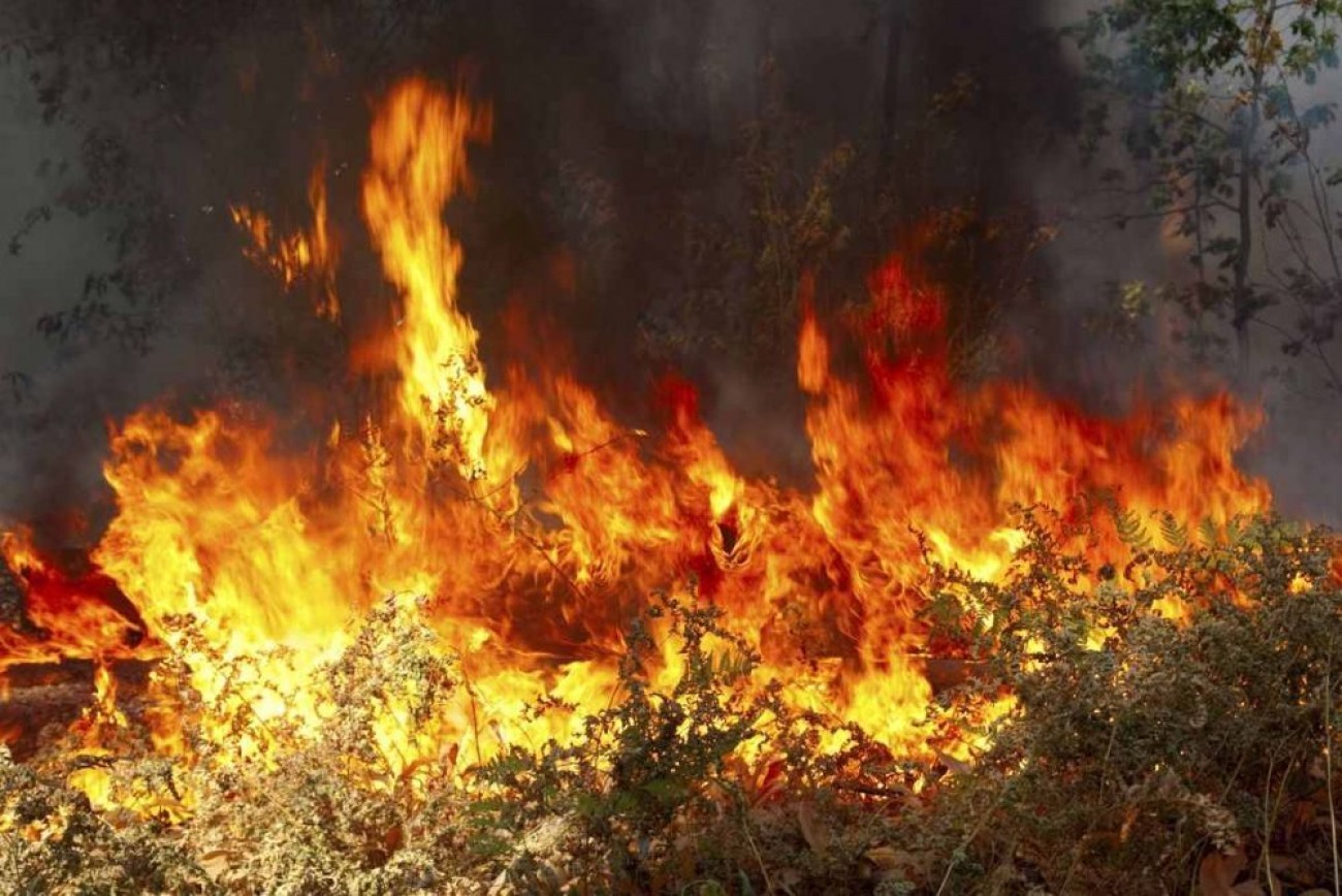 Ιταλία: Δύο άνθρωποι έχασαν τη ζωή τους από τις φωτιές (φωτό)