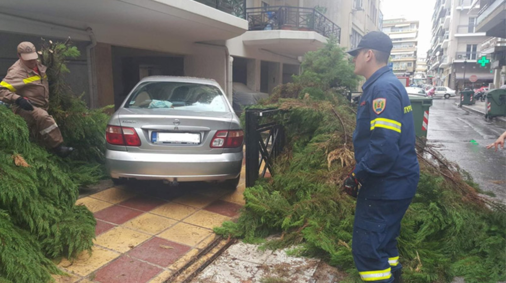 Λάρισα: Δέντρο καταπλάκωσε αυτοκίνητα λόγω κακοκαιρίας (φωτό) 