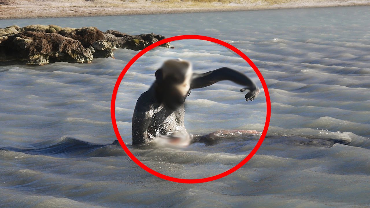 Βίντεο: 10 μυστήρια θαλάσσια πλάσματα που εμφανίζονται μόνο μετά από τσουνάμι!