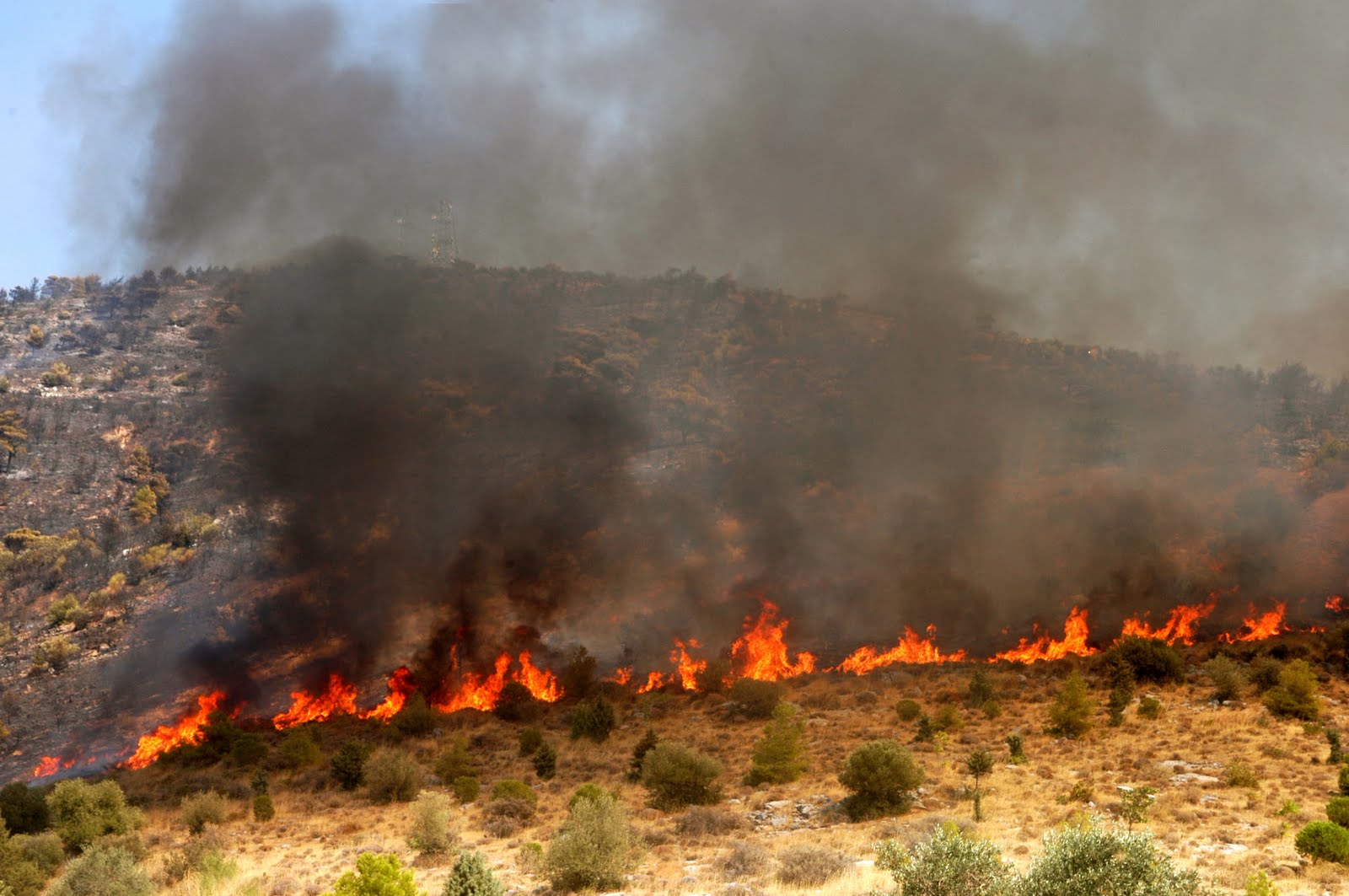 Ιωάννινα: Μεγάλη φωτιά σε πλήρη εξέλιξη κοντά στην Πανεπιστημιούπολη