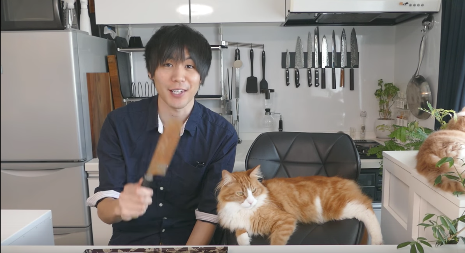 Βίντεο: Ιάπωνας ξεσκουριάζει μαχαίρια παρέα με τις γάτες του