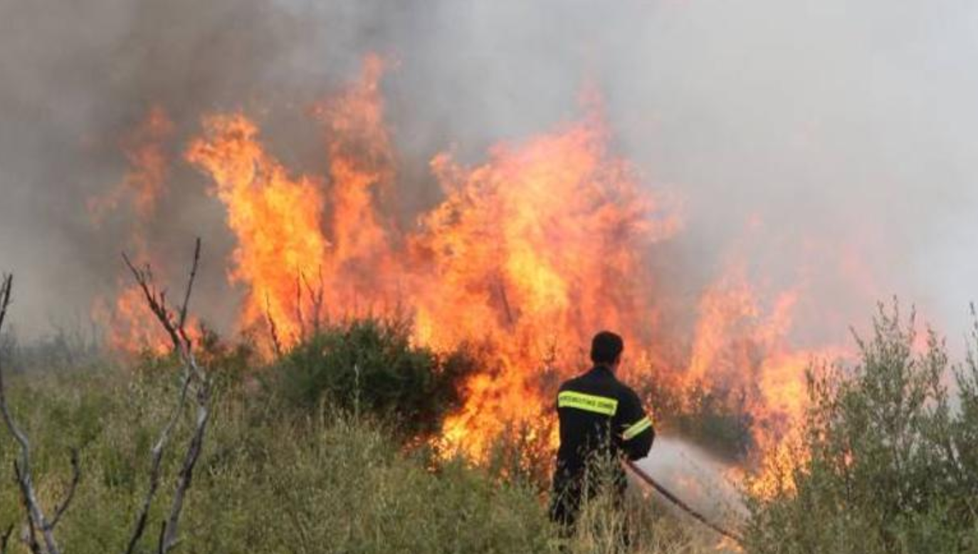 Πυρκαγιά σε δασική έκταση στη Μεσσηνία (φωτό)