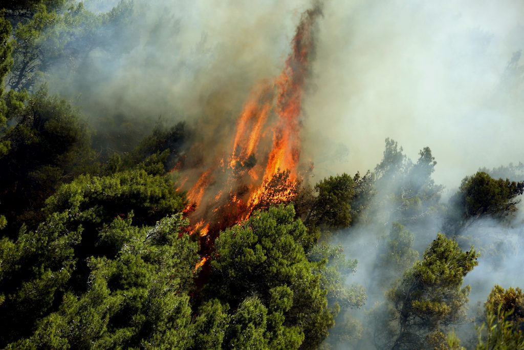 Μεγάλη φωτιά εκδηλώθηκε σε δασική έκταση της Κέρκυρας