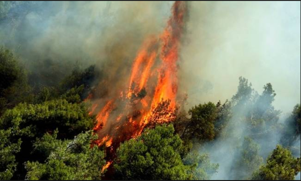 Κέρκυρα: Σε ύφεση η φωτιά στο όρος Παντοκράτορα
