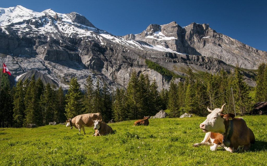 Αρχαιολογικά ευρήματα 4.000 χρονών βρέθηκαν σε βουνά της Ελβετίας (φωτό)