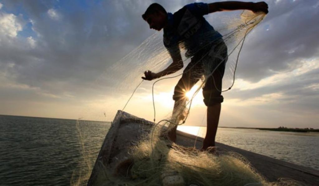 Βίντεο: Αυτό δεν έχει ξαναγίνει- Ψαράς έριξε δίχτυα και τα σηκώνει για να φάνε οι γάτες του