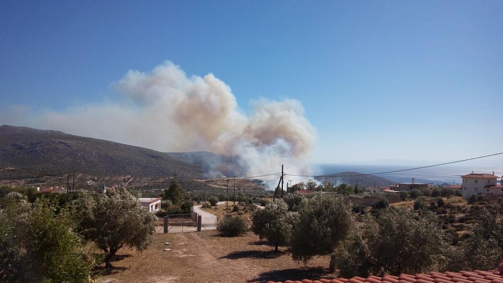 Πύρινη «κόλαση» στα Καλύβια: Δύο αναζωπυρώσεις – Οι φλόγες έφτασαν στην παραλία της Σαρωνίδας (φωτό)