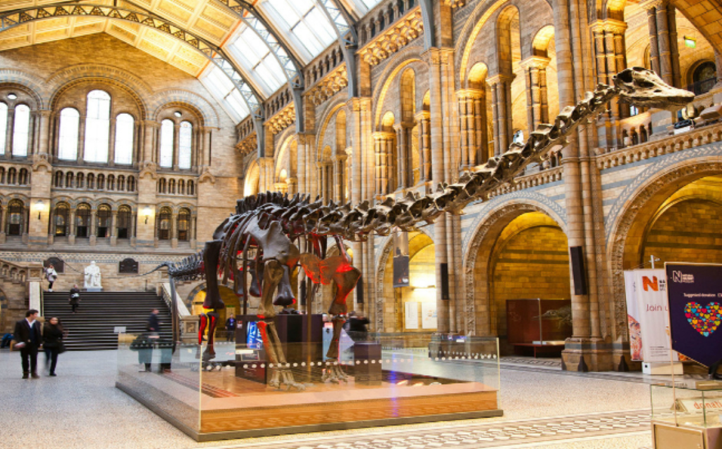 Βρετανία: 10χρονος εντόπισε λάθος στο Μουσείο Φυσικής Ιστορίας