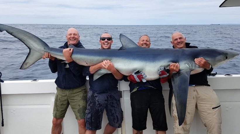 Έπιασαν τον μεγαλύτερο μπλε καρχαρία στις ακτές της Κορνουάλης