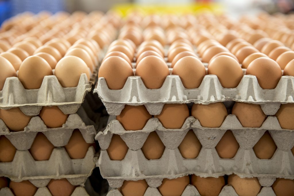 Σκάνδαλο μεγατόνων: Οι «έντιμοι» Βορειοευρωπαίοι κατέκλυσαν την αγορά με εκατομμύρια τοξικά αυγά!