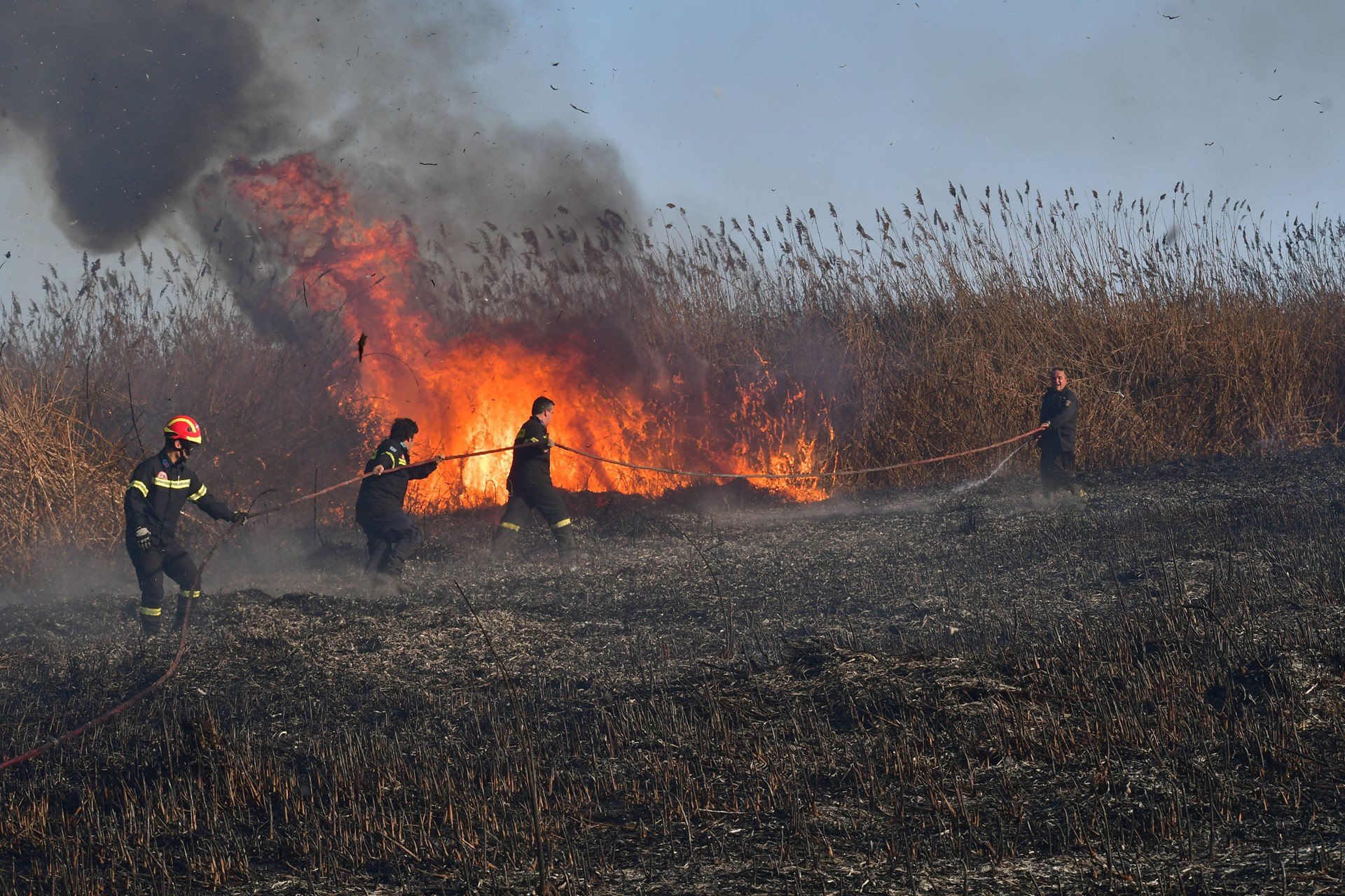 Μαίνεται μεγάλη πυρκαγιά μεταξύ Γέρας και Πλωμαρίου- Δυσχερής η κατάσταση λόγω ισχυρών ανέμων