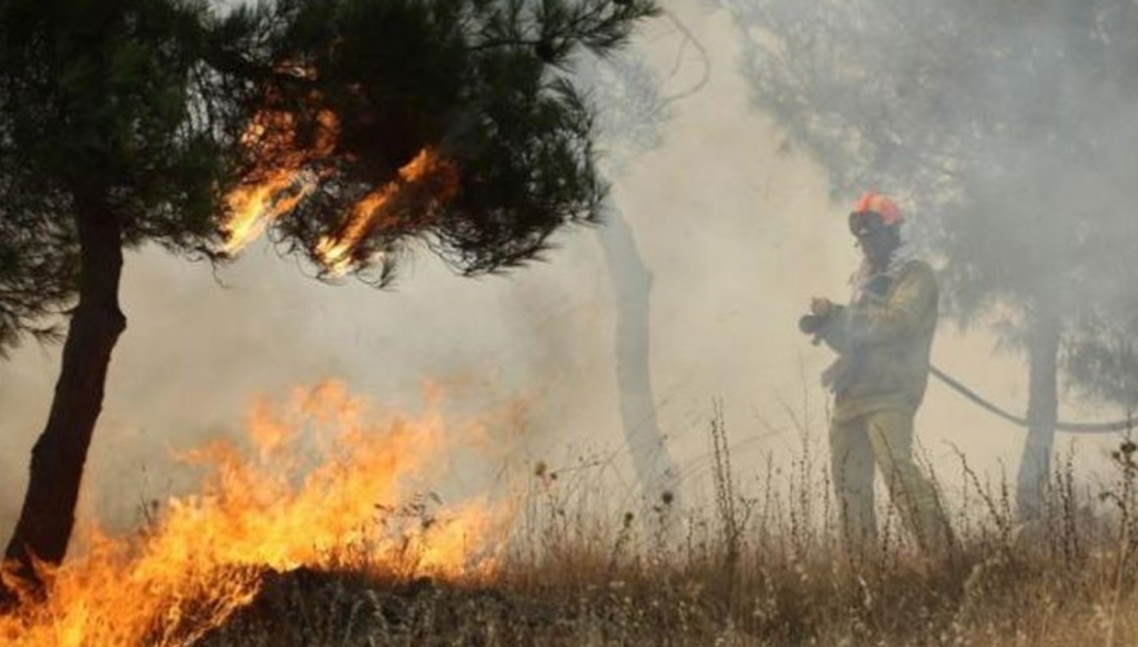 Μεγάλη πυρκαγιά σε δασική έκταση στην Ηλεία