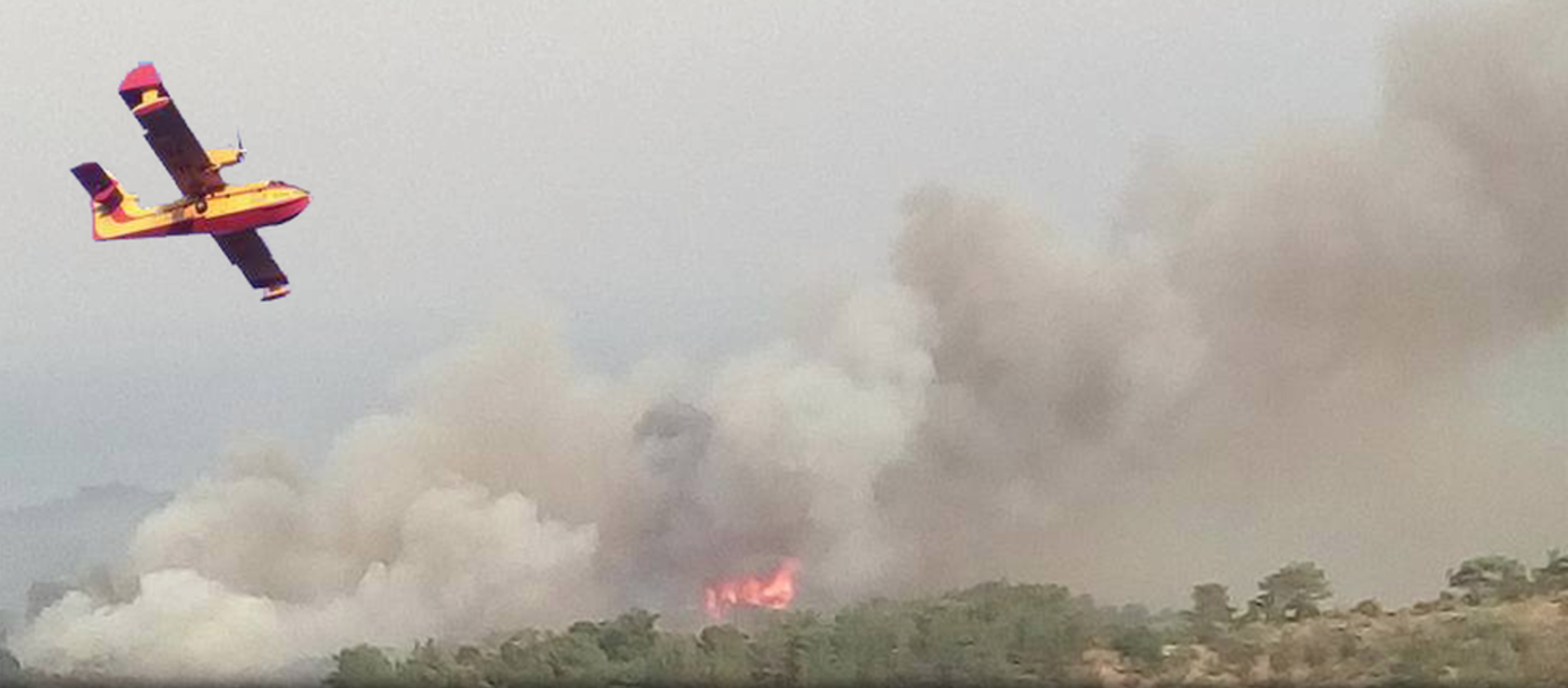 Μυτιλήνη: Σοκαριστική καταγγελία για την πυρκαγιά που καίει το νησί