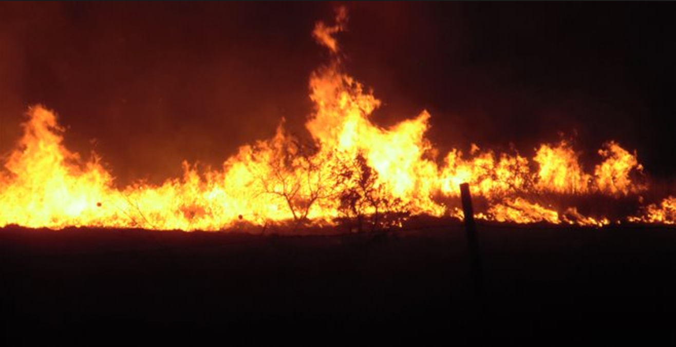 Λέσβος: Υπό έλεγχο η πυρκαγιά που έκαψε 2,5 χιλιάδες στρέμματα