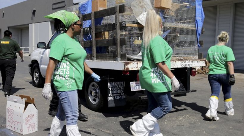 Λος Άντζελες: 1.000 ζώα βρέθηκαν νεκρά σε βιομηχανική αποθήκη