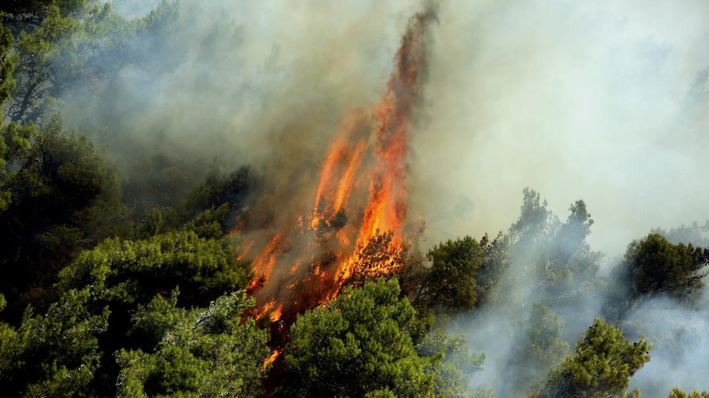 Φωτιά σε δασική έκταση στα Βρουβιανά Αιτωλοακαρνανίας