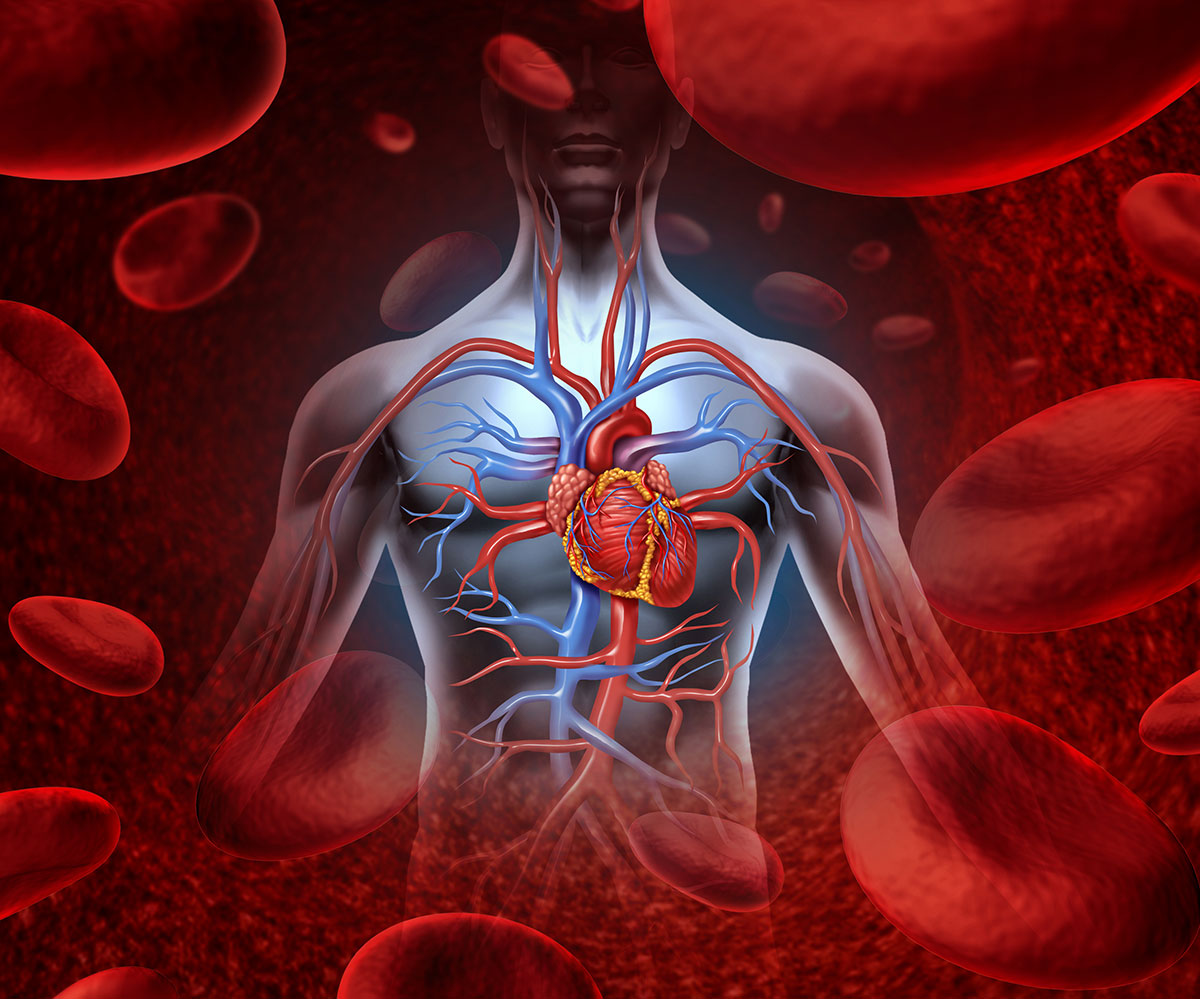 Υψηλός και χαμηλός αιματοκρίτης:Τι σημαίνει για την υγεία μας