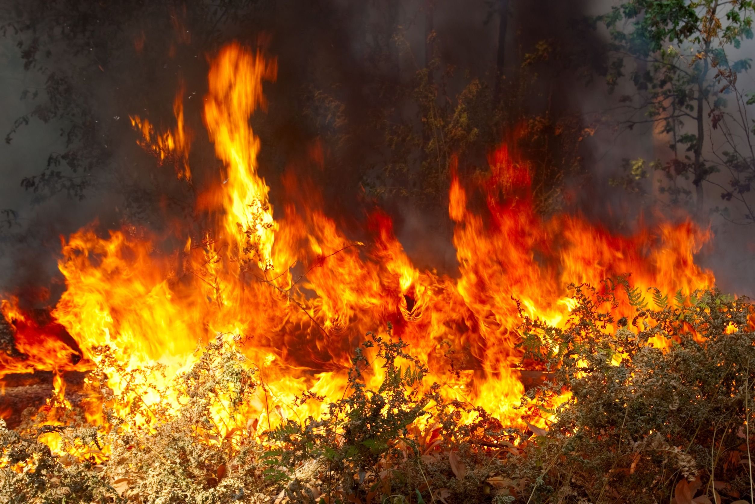 Μεγάλη φωτιά ξέσπασε στον Δήμο Πάργας-  Κινείται προς τις πηγές του Αχέροντα
