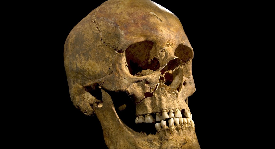 Κένυα: Παλαιοντολόγοι ανακάλυψαν κρανίο 13 εκατ. ετών του κοινού προγόνου ανθρώπου- πιθήκου