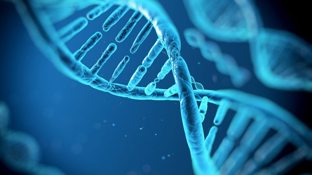 Σύνθεση ανθρώπινου DNA εκ του μηδενός