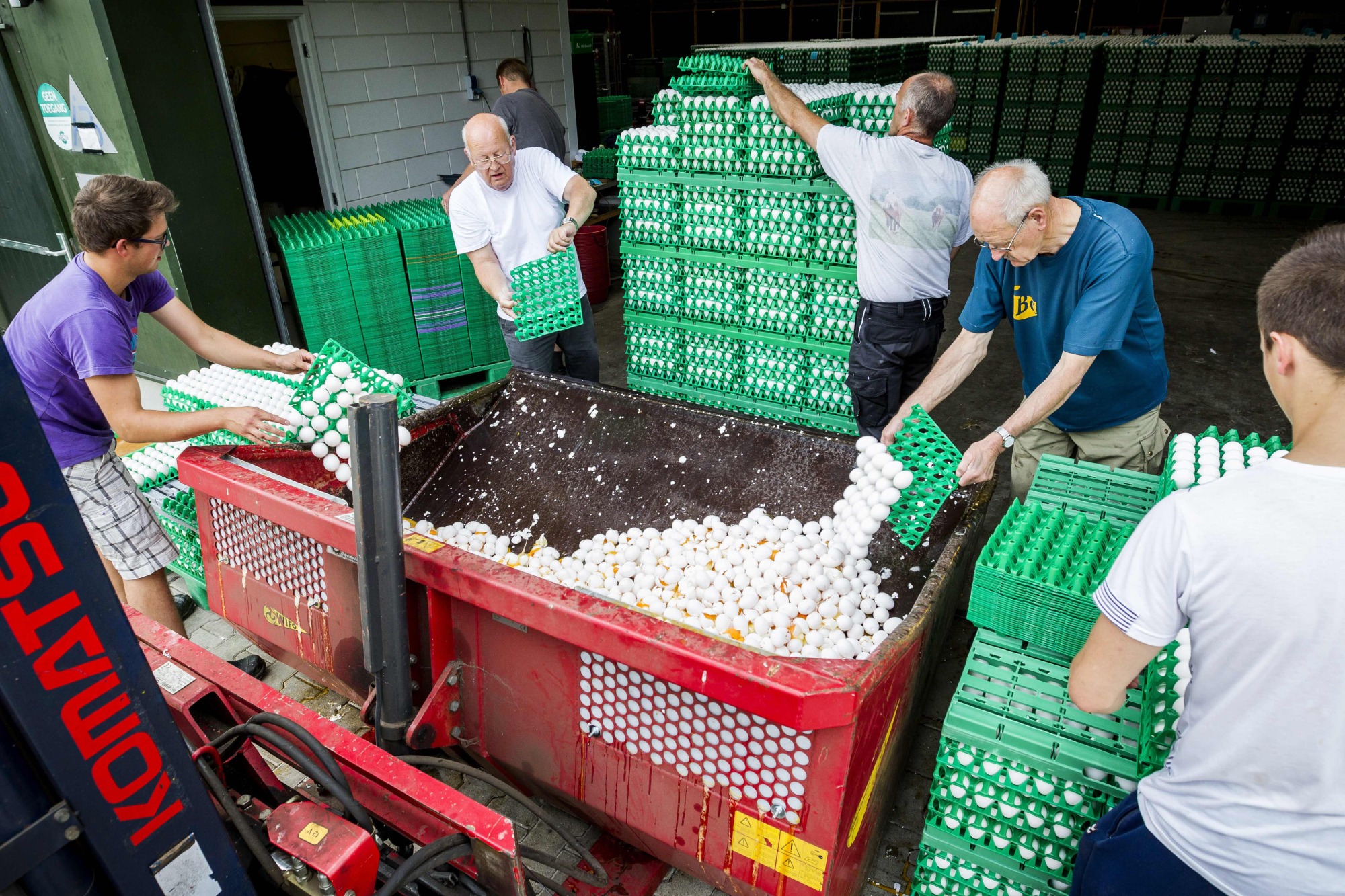 Πώς να ξεχωρίσετε τα μολυσμένα με fiprolin αυγά- Ποιες χώρες αντιμετωπίζουν πρόβλημα; (φωτό, βίντεο)