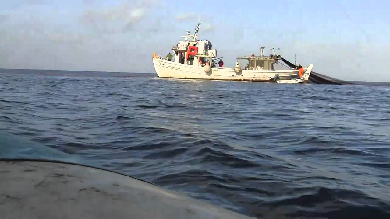 Ψαράδες στη Λεμεσό έσωσαν δύο Σύρους μετανάστες που είχαν ναυαγήσει