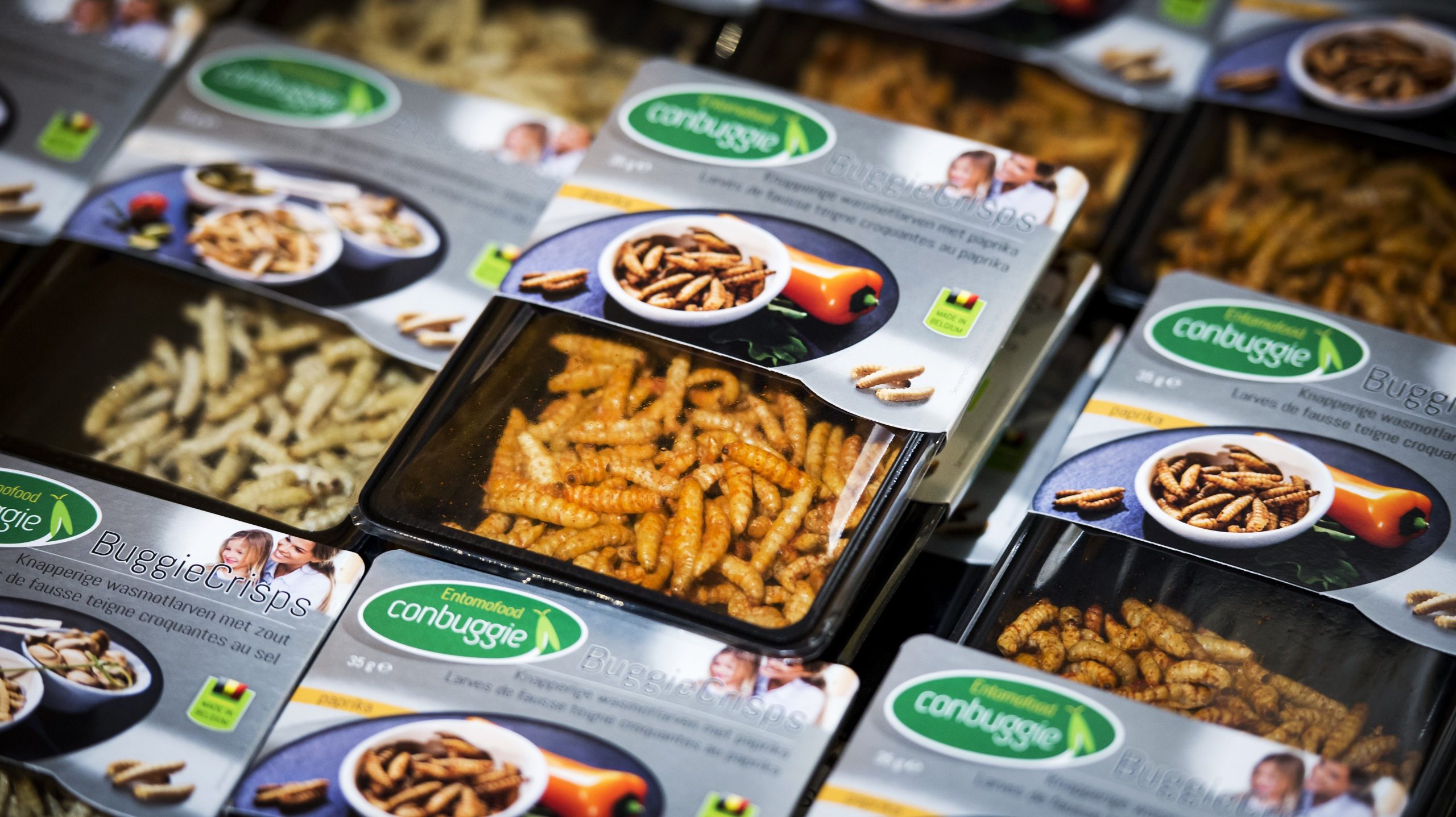 Ελβετία: Τρόφιμα από… έντομα στα ράφια των σούπερ μάρκετ