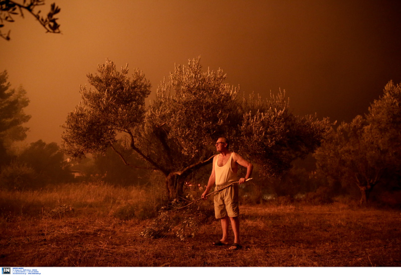 55 δασικές πυρκαγιές σε ένα 24ωρο στην Ελλάδα – Σε εξέλιξη οι φωτιές σε Κάλαμο, Ηλεία, Ζάκυνθο