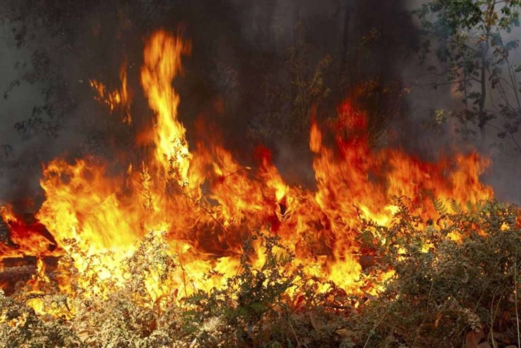 Κυπαρισσία: Ξέσπασε φωτιά στο χωριό Ράχες –  Τρία αεροσκάφη PZL στο σημείο