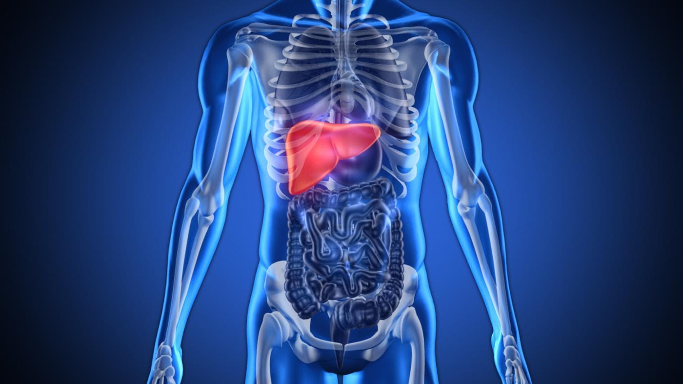 Πως να «καθαρίσετε» το συκώτι σας με φυσικό τρόπο!