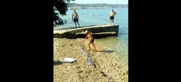 Πάτρα: Λουόμενοι αναλαμβάνουν δράση και απομακρύνουν τις τσούχτρες από τη θάλασσα (βίντεο)