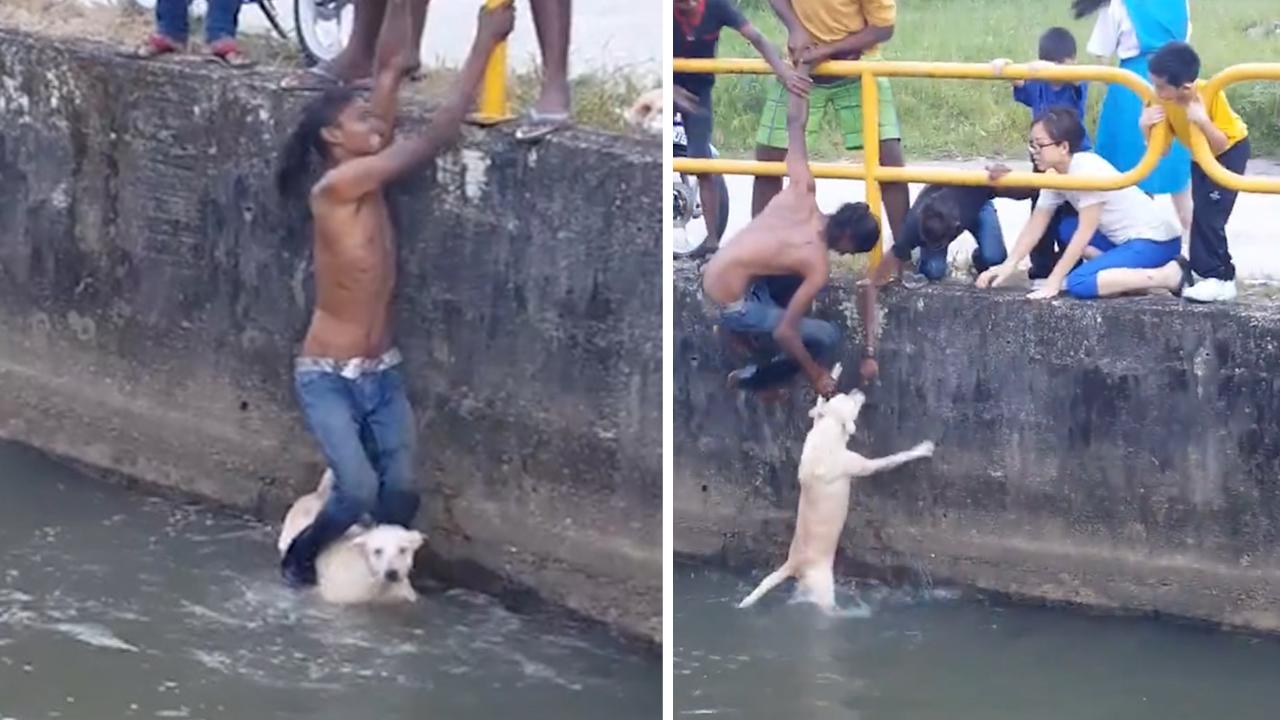 Τη ζωή του σε κίνδυνο έθεσε ένας νεαρός άνδρας στην Ινδία: Βούτηξε σε κανάλι να σώσει ένα σκύλο (βίντεο)