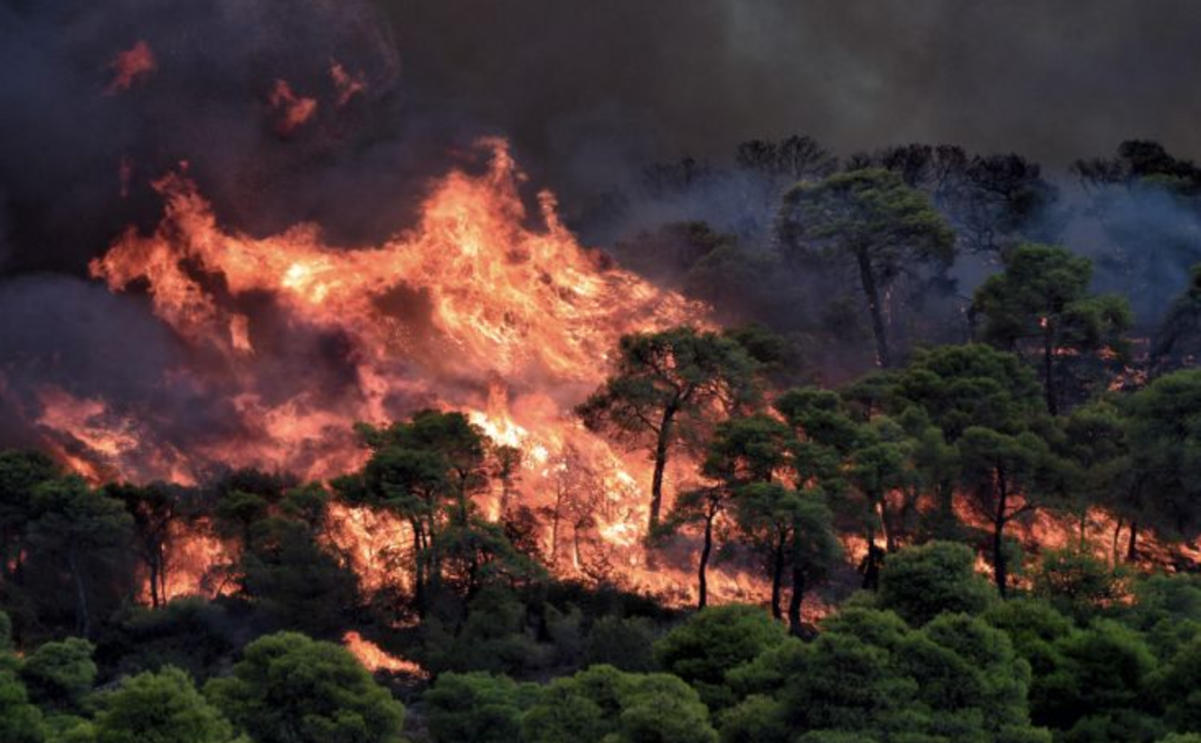 Κορινθία: Σε εξέλιξη η φωτιά στην περιοχή Σοφικού