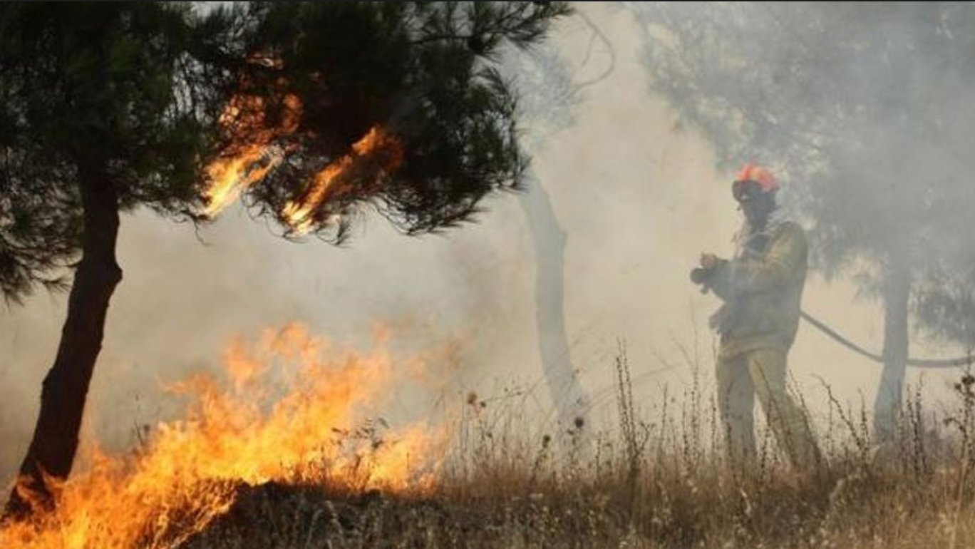 Ηλεία: Μεγάλη πυρκαγιά ξέσπασε στα Διάσελλα