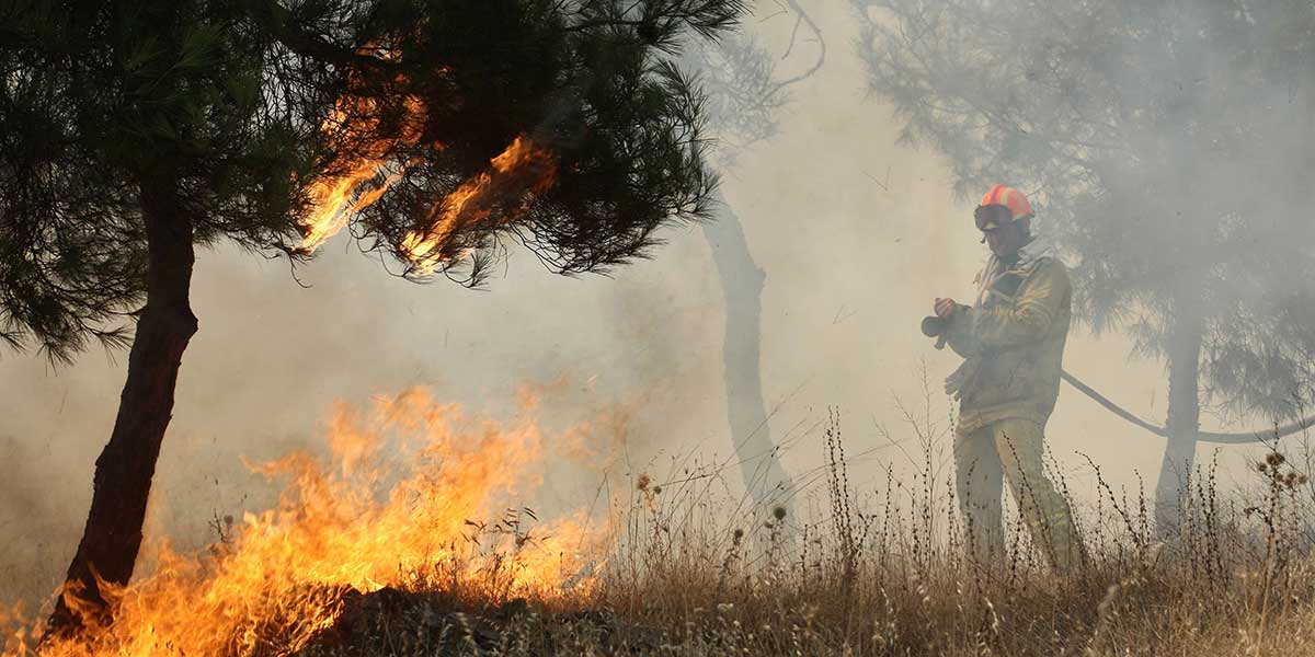 Τραγωδία στην Ηλεία: Συμπληρώνονται 10 χρόνια από τις φονικές πυρκαγιές (φωτό, βίντεο)