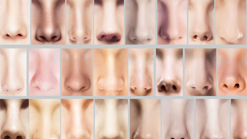 Τί αποκαλύπτει η μύτη για την προσωπικότητα ενός ανθρώπου – Ισχύει για εσάς;