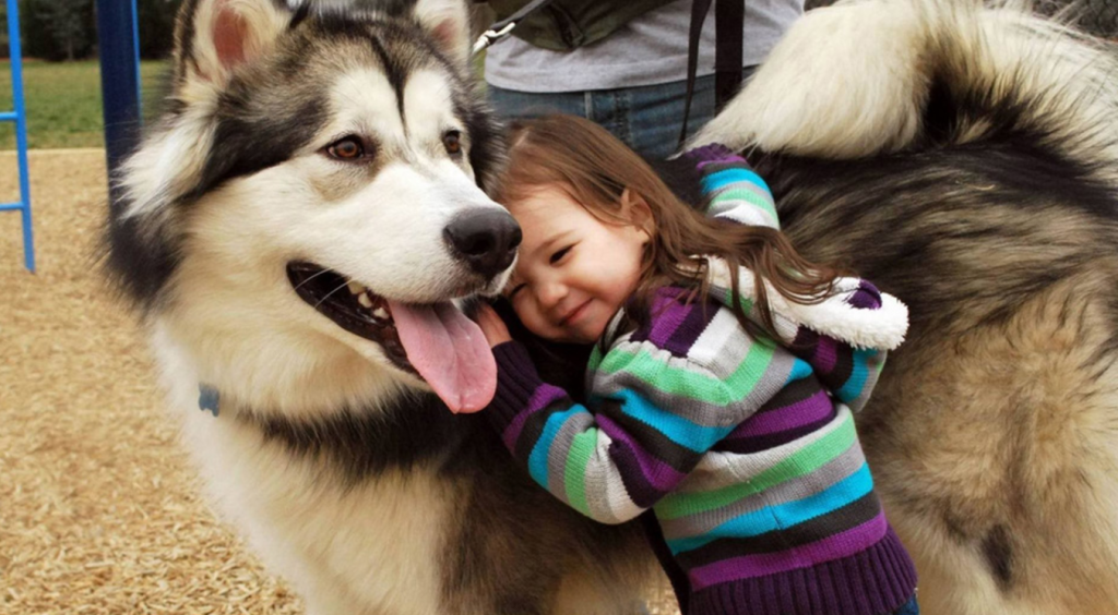 Βίντεο: Σκύλος βοηθάει παιδάκι με αυτισμό