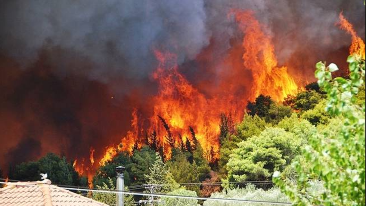 Φωτιά σε δασική έκταση στην περιοχή Γεράκι Ηλείας (φωτό)