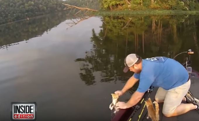 Βίντεο: Πήγε για ψάρεμα και έπιασε… δύο γάτες!