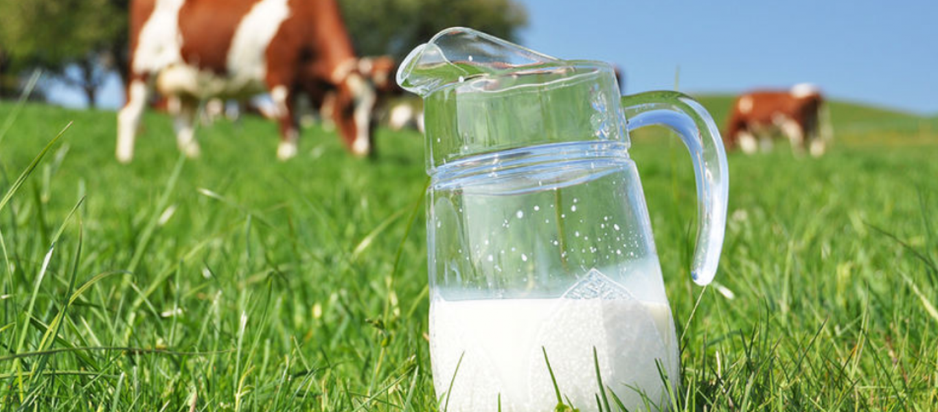 Από πότε και γιατί θα πληρώνουμε πανάκριβα το γάλα;