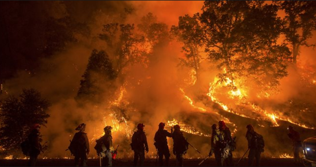 ΗΠΑ: Γεράκι και φίδι ξεκίνησαν μεγάλη φωτιά σε δασική έκταση (φωτό)