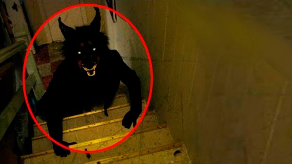 Βίντεο: Πέντε μυστήρια πλάσματα που… «έπιασε» ο φακός της κάμερας