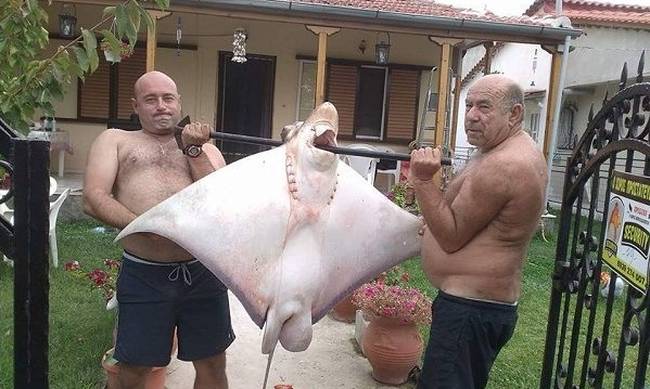 Λάρισα: Ψαροντουφεκάς έπιασε σαλάχι 70 κιλών! (φωτό)