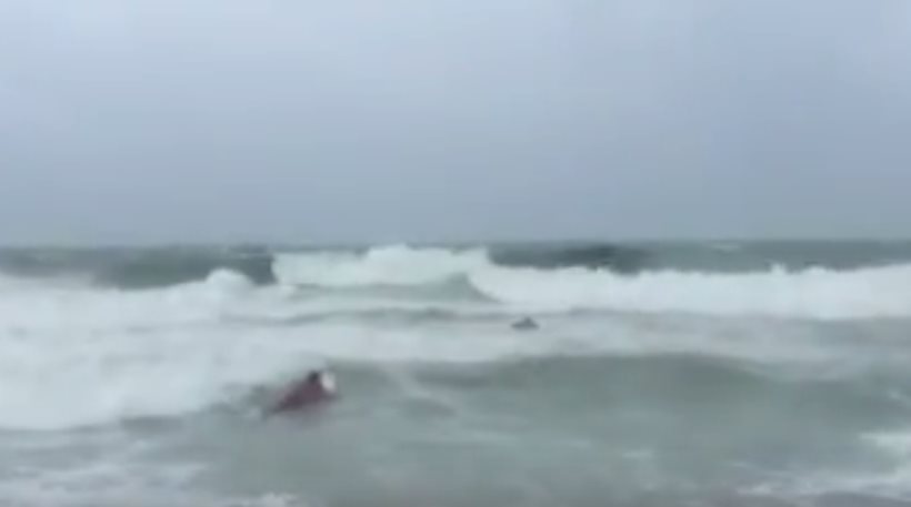 Τολμηρός σέρφερ αγνοεί επιδεικτικά τον τυφώνα Ίρμα και βουτά στα κύματα (βίντεο)
