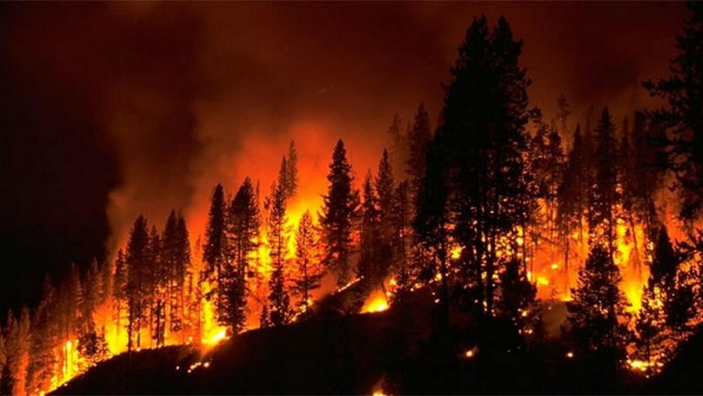 Συναγερμός στην Ηλεία: Μεγάλη πυρκαγιά- Απειλούνται κατοικίες (φωτό)