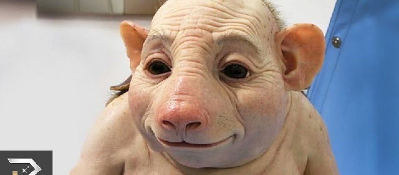 Δέκα πειράματα που σόκαραν ακόμα και τους ίδιους τους επιστήμονες (βίντεο)