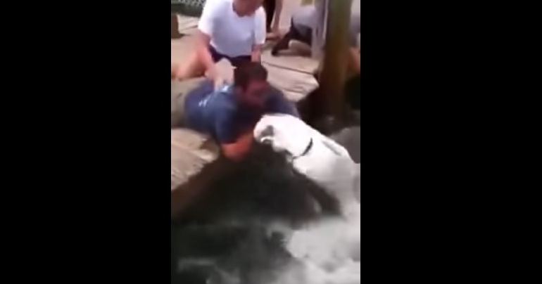 Βίντεο: Άνδρας έπαιζε με ψάρι όταν αυτό ξαφνικά του…βούτηξε το χέρι!