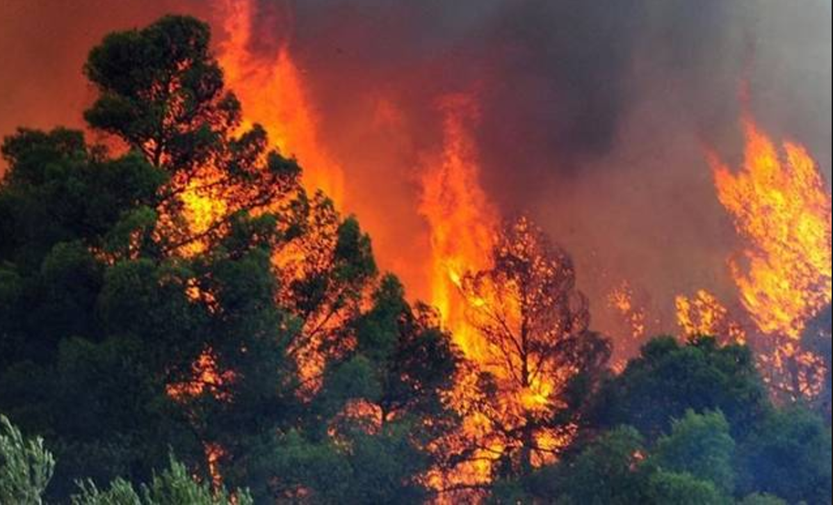 Καίγεται δάσος στην Καβάλα για δεύτερη συνεχόμενη μέρα