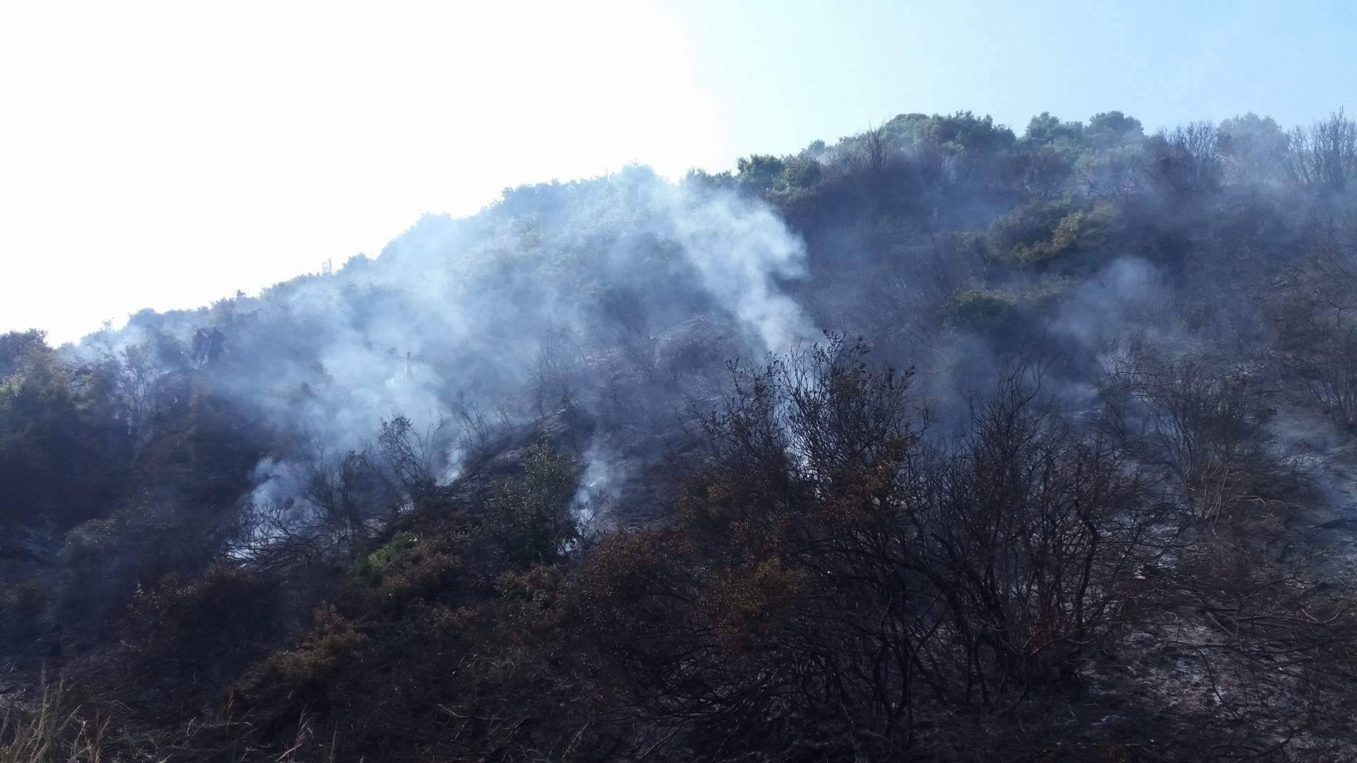 Χαλκιδική: Μαίνεται η πύρινη λαίλαπα στη Κασσάνδρα- Καμμένες αυλές και δίπλα σε σπίτια η φωτιά (φωτό, βίντεο)